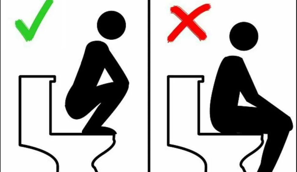 Пить надо в туалет. Как правильно ходить в туалет по большому. Покажи как надо правильно ходить в туалет в туалет когда надо ходить.