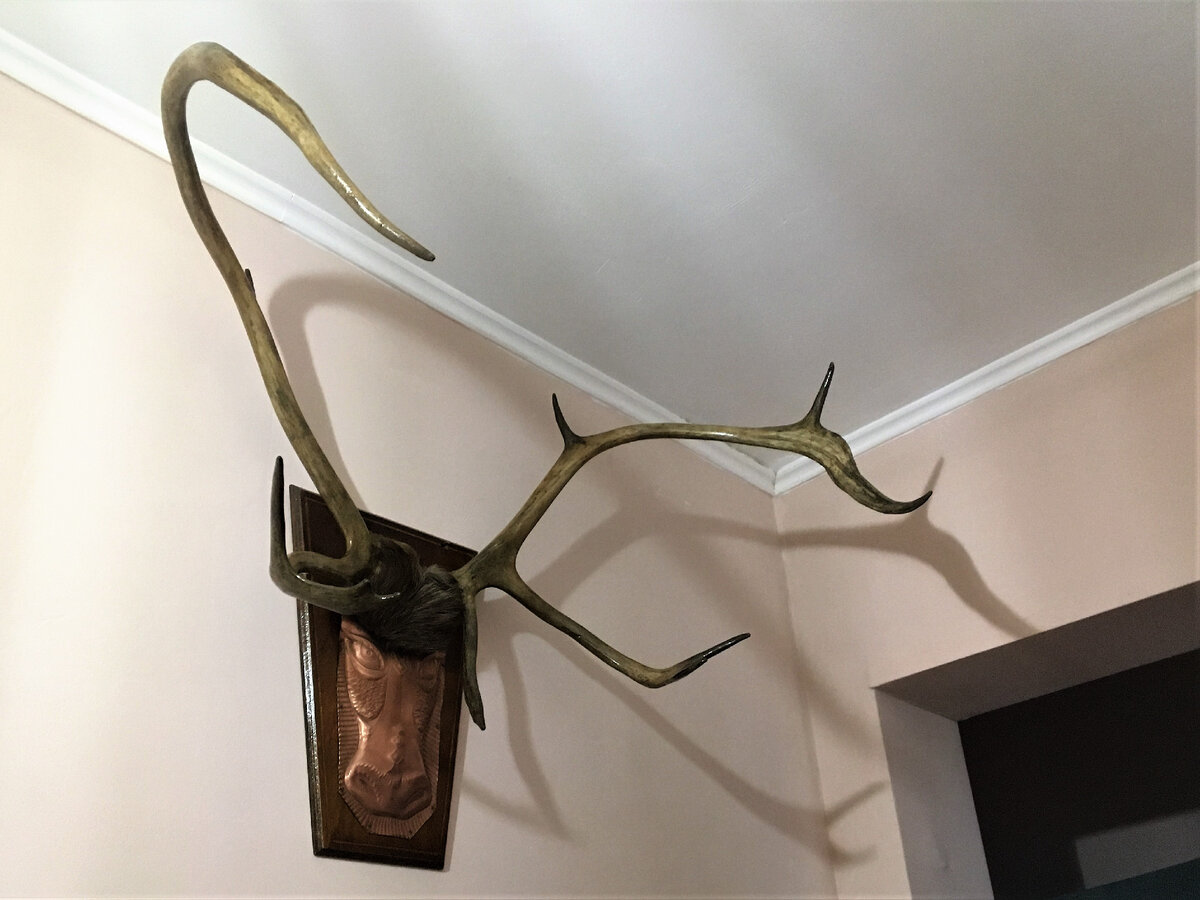 Это окончательный товарный вид