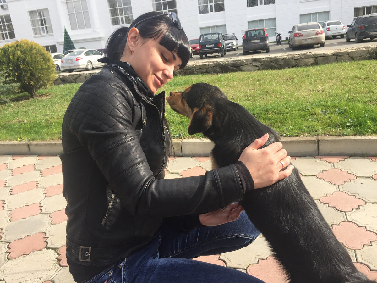 Я и очередная бездомная собака