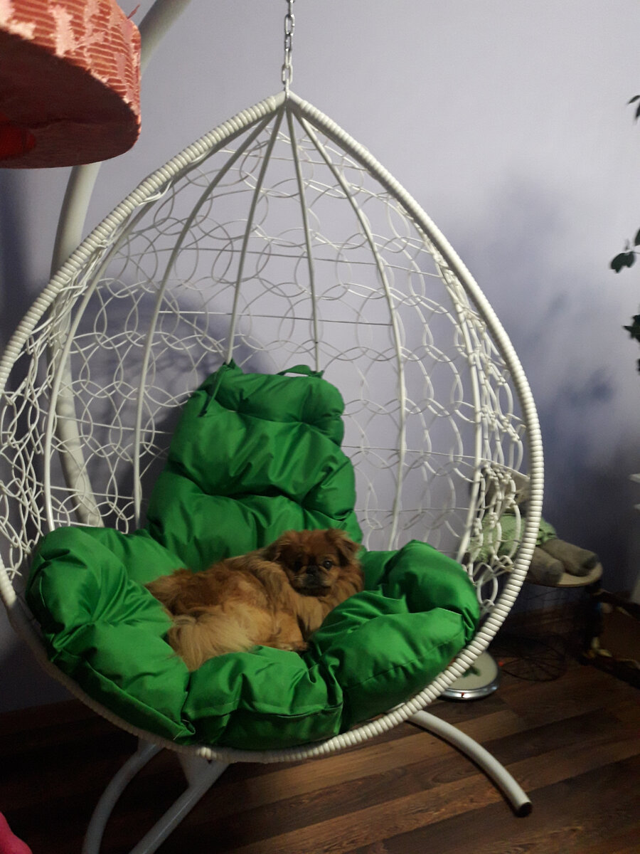 Фото автора канала