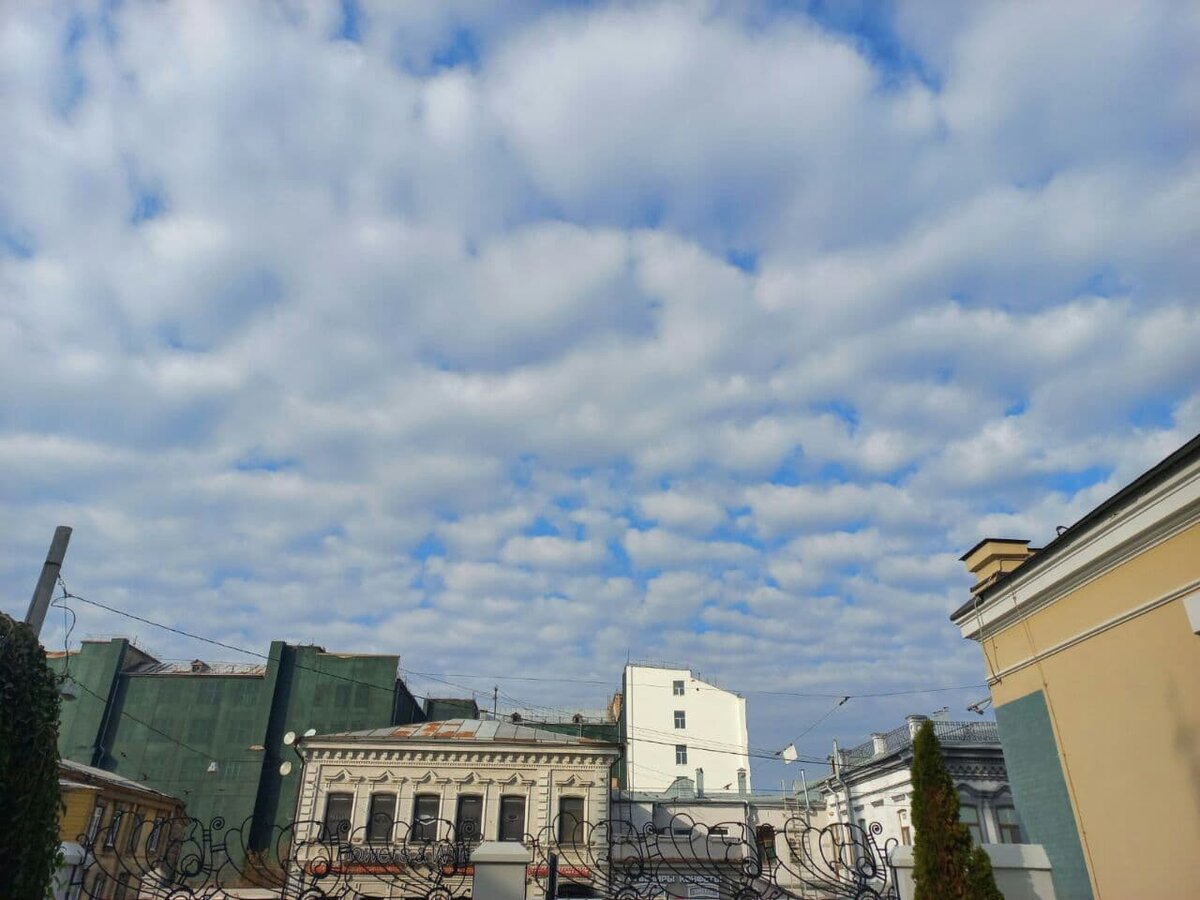 Фото автора.