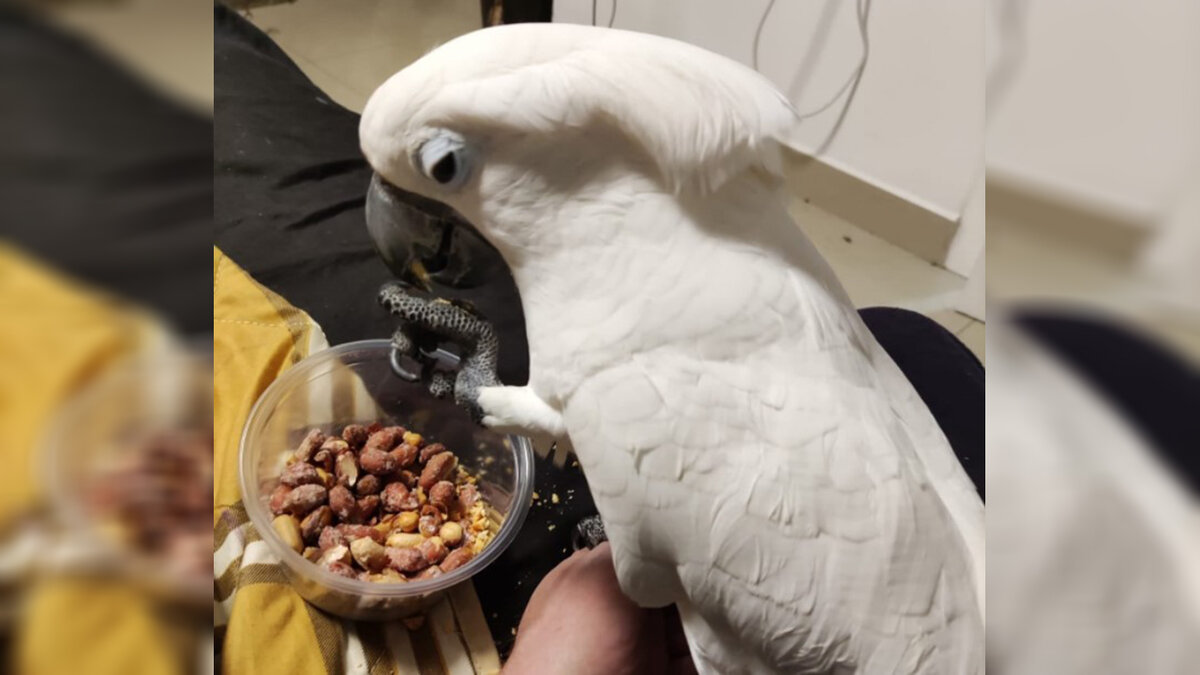 Фото из архива автора. Ангелочек