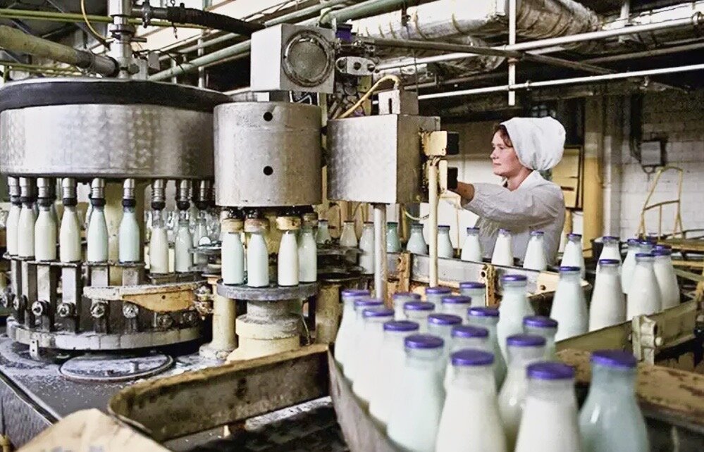 Линия по производству молока в СССР.