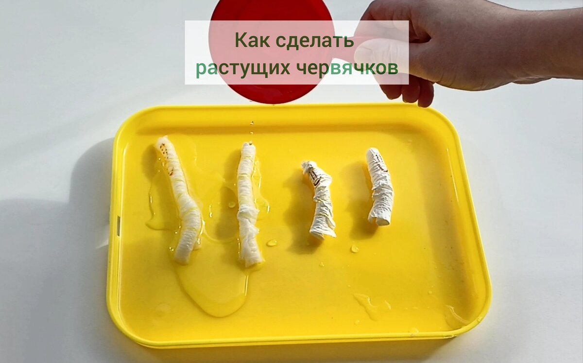 Растущие червячки - занимашка для детей и родителей 😉 | Креативное  детство. Развивашки | Дзен