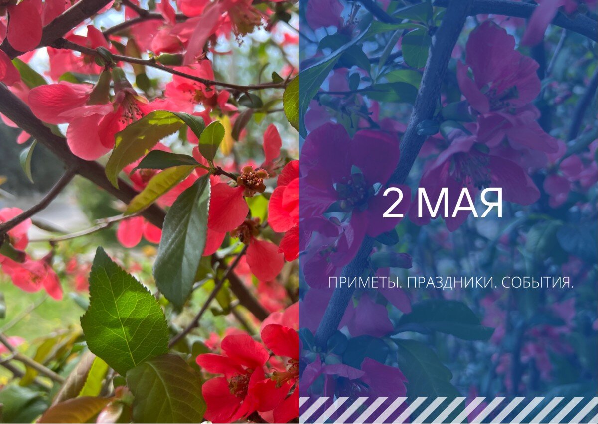 Народные приметы о мае месяце. Приметы мая. Приметы мая народные. 2 мая народные приметы. Май приметы месяца.