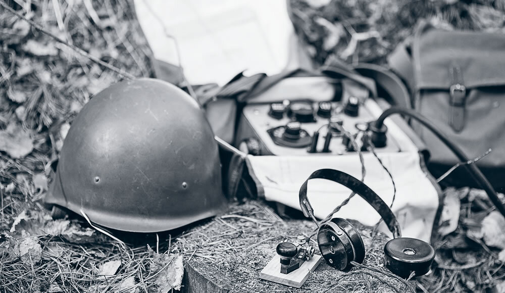 Фото: Grisha Bruev/Shutterstock/FOTODOM