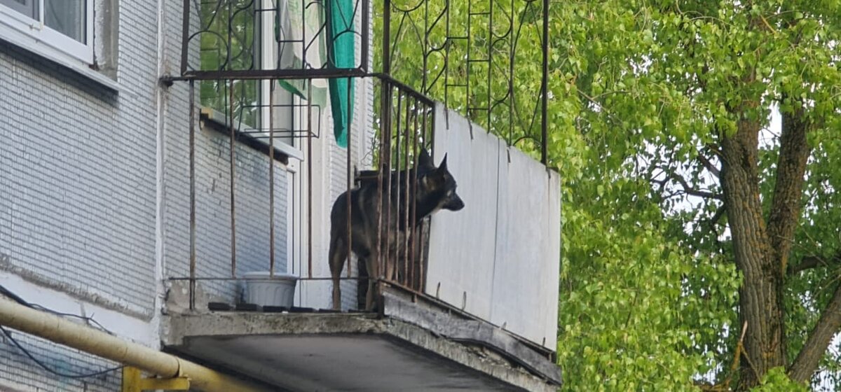 Фото с просторов