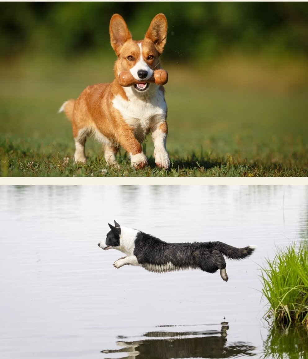 Взято из открытого источника