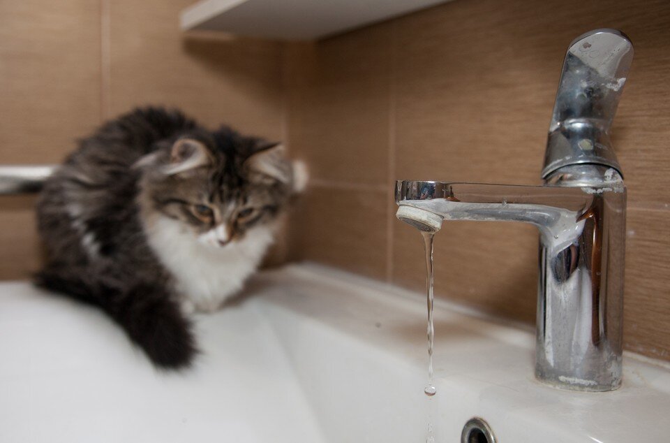     Во всех районах Волгограда в августе отключат горячую воду Николай ОБЕРЕМЧЕНКО