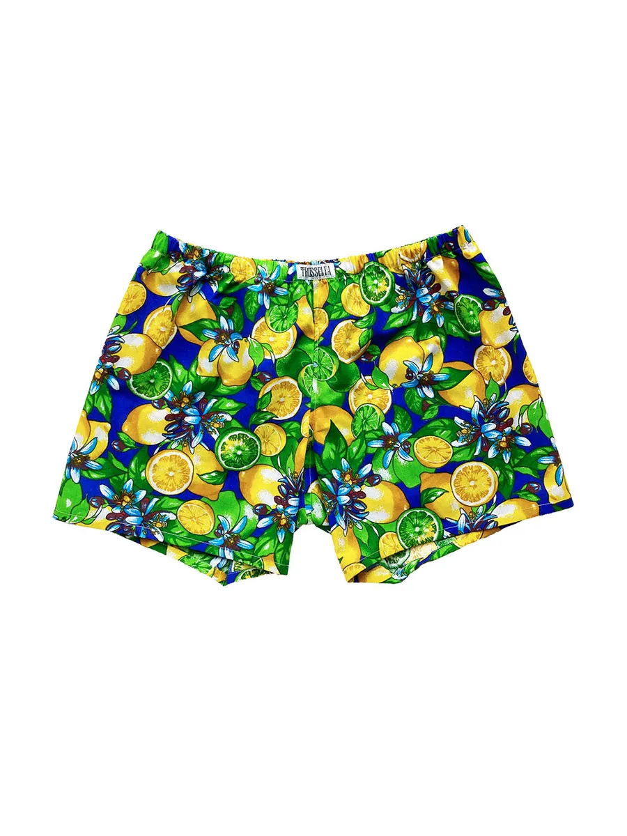 фруктовые мужские семейные трусы