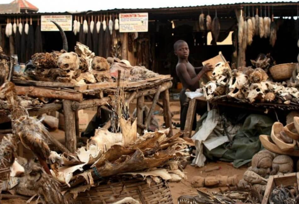 Cele mai înfricoșătoare locuri din lume - este nevoie de curaj pentru a merge acolo