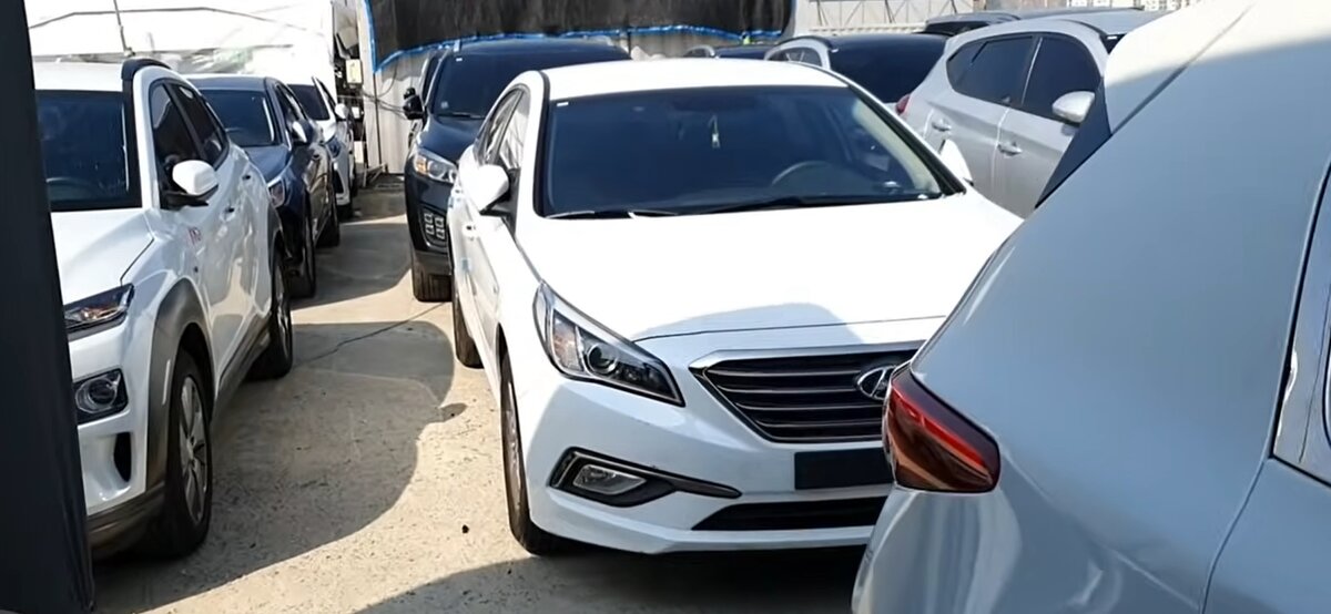 На одной из площадок корейского автоаукциона.