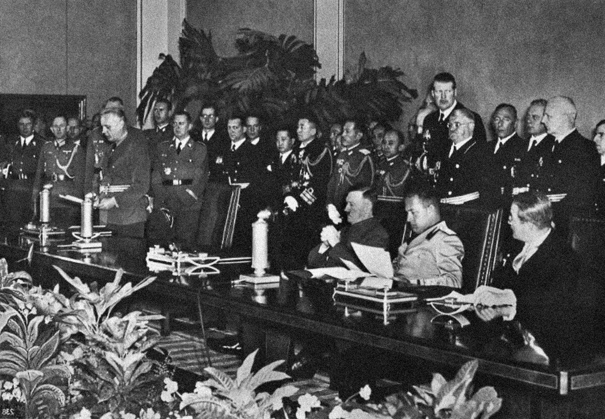 Фото взято из открытых источников