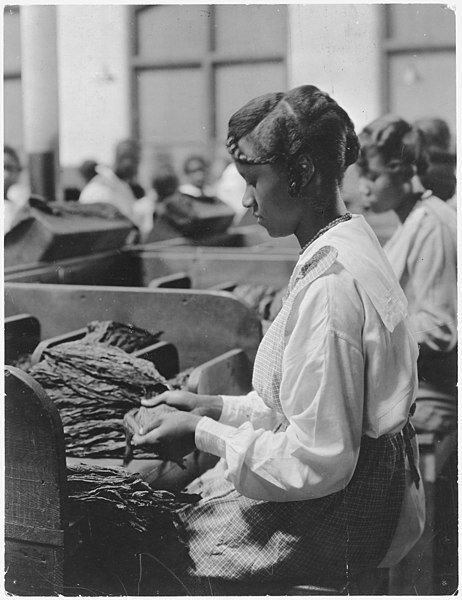 The U.S. National Archives. 1922. Табачная лаборатория