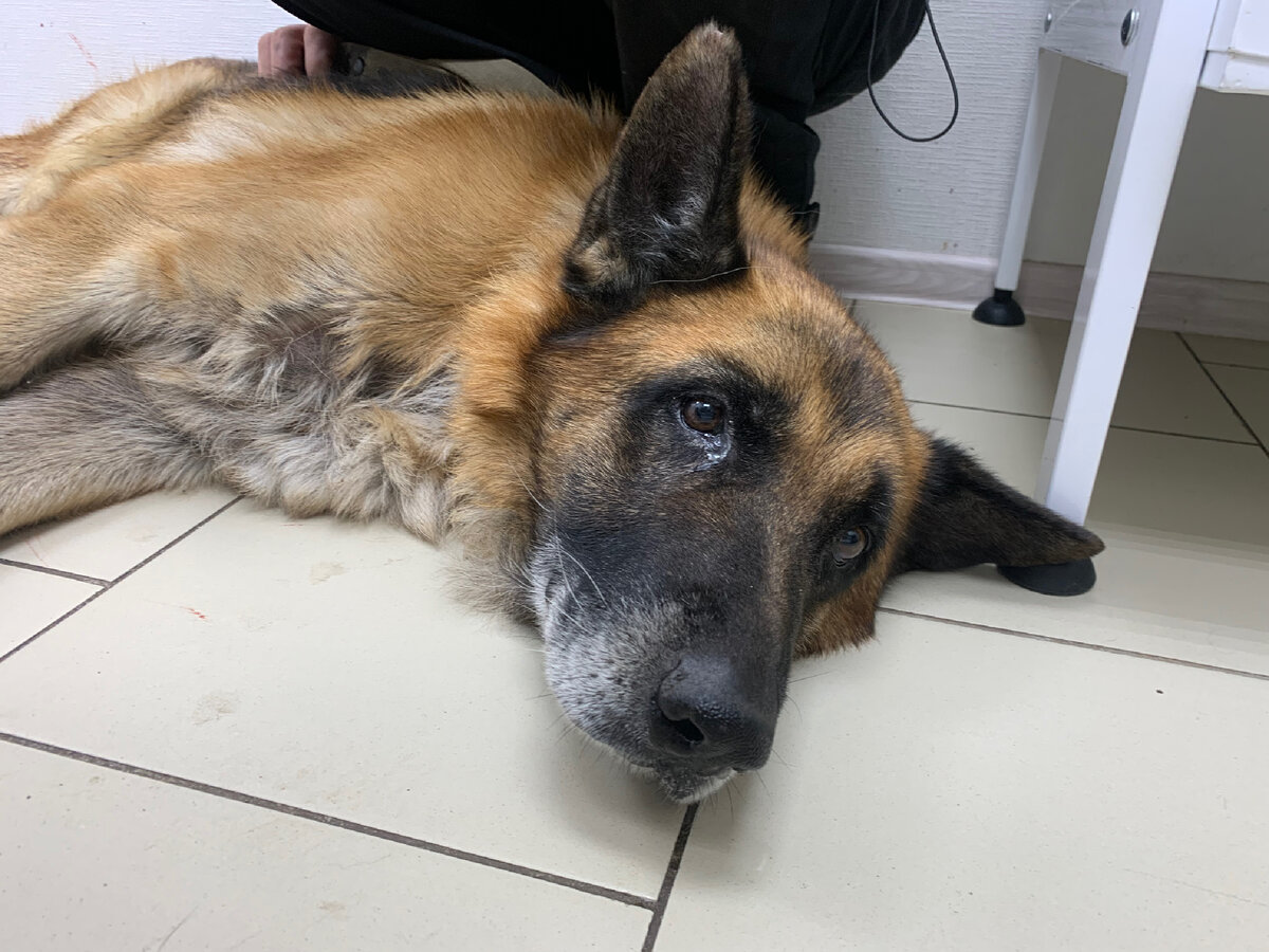 Разве это он заслужил? 