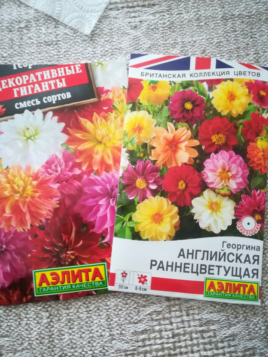 Георгины на балконе