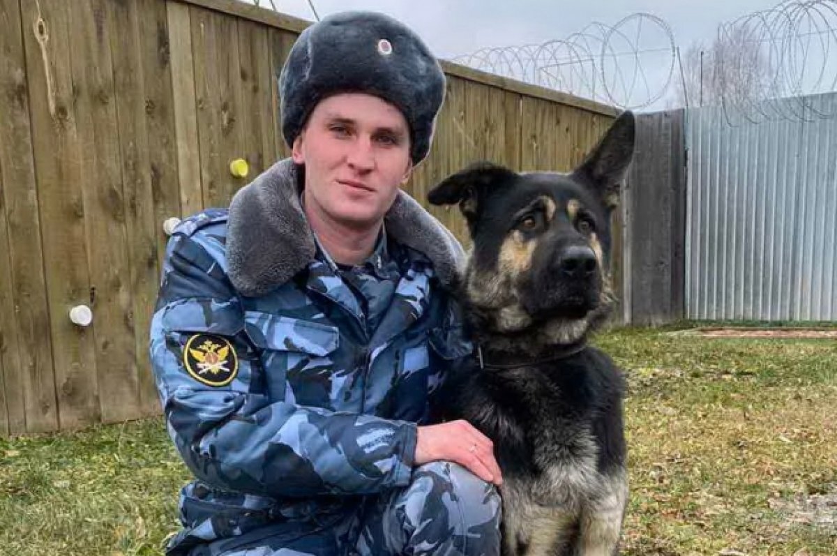    Ушедшего из дома подростка нашли в нижегородском лесу с помощью собаки