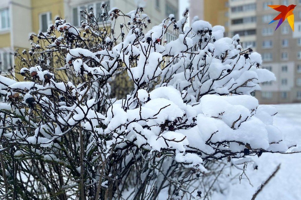     Григорьев день отмечают 7 февраля - собрали запреты и приметы. Фото: архив «КП»