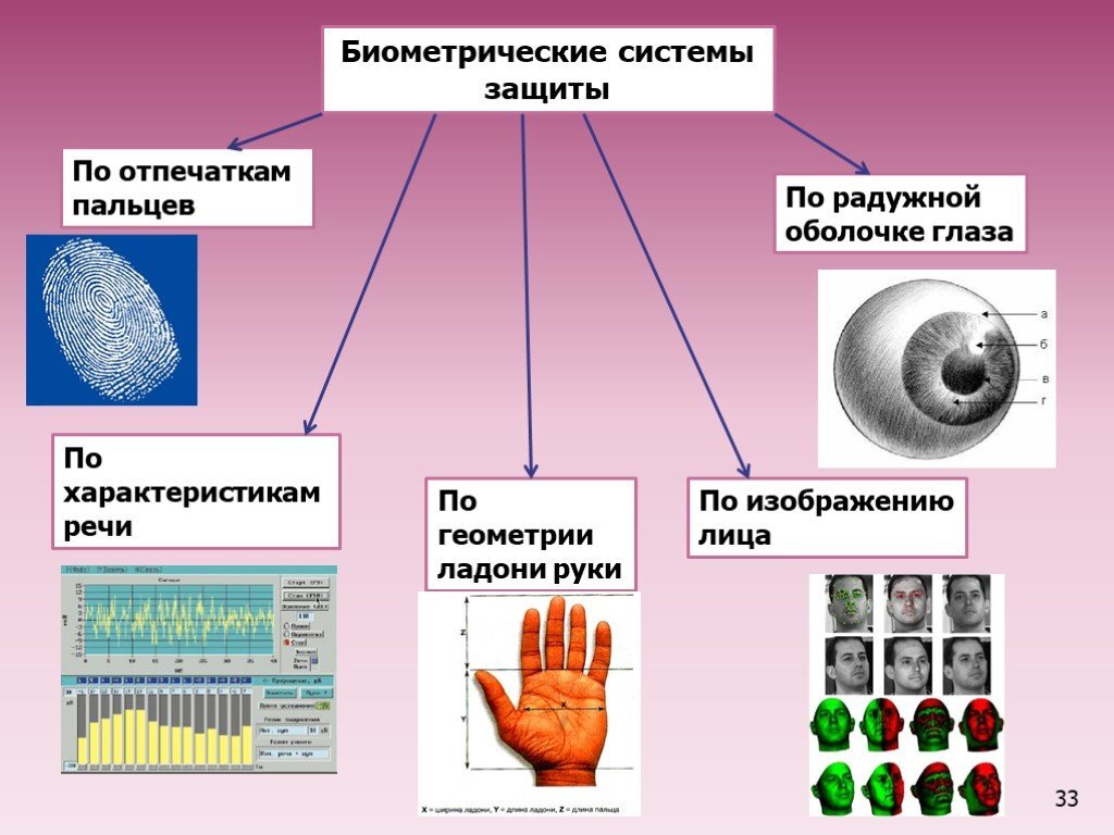 Биометрическая защита данных презентация