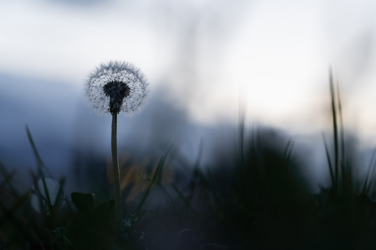Сток Unsplash.