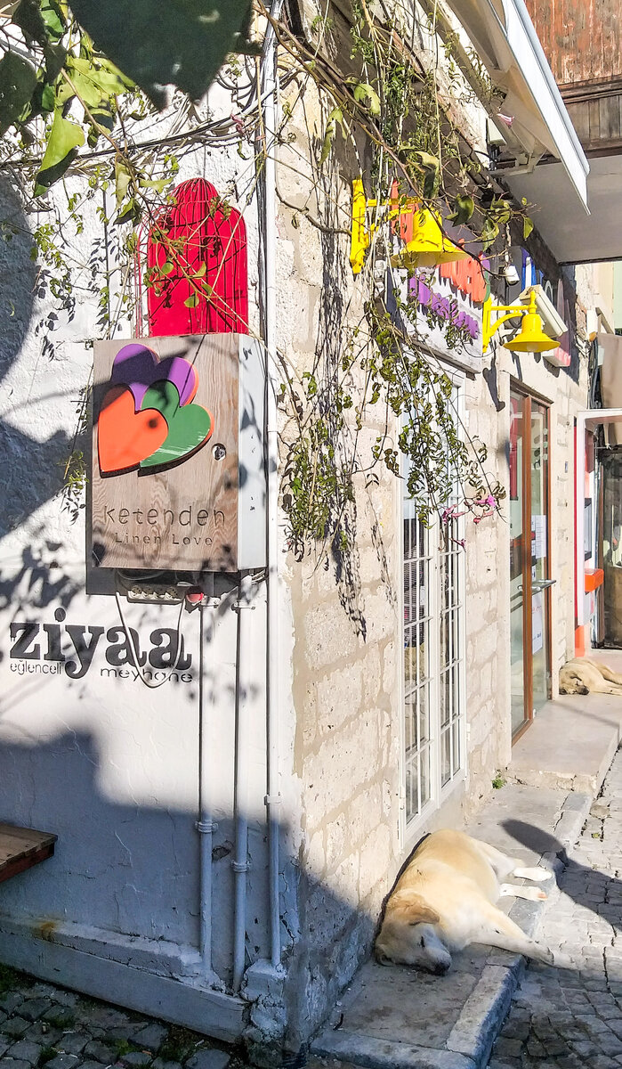 Собакен в нирване