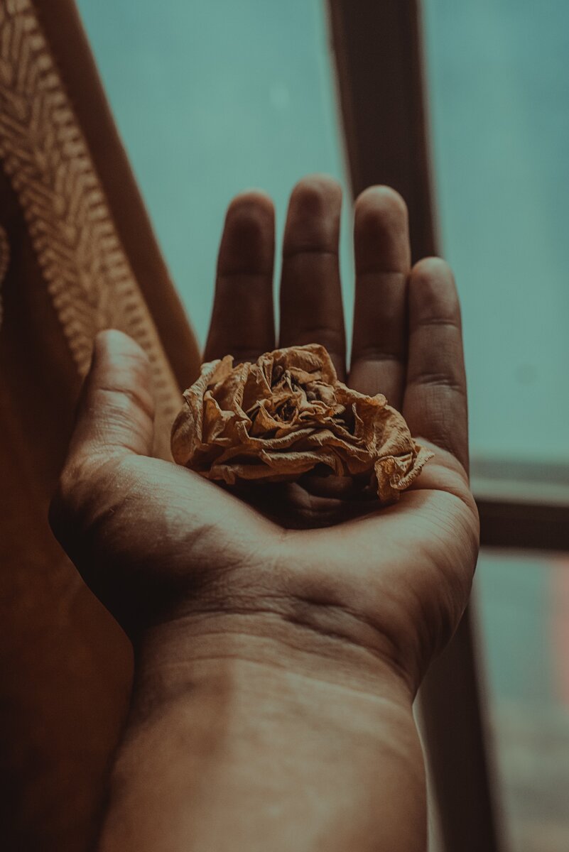Фото автора Alan Cabello: Pexels 