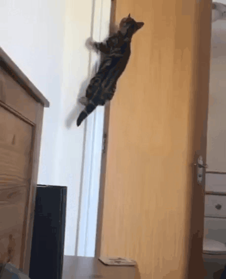 Нажми на картинку, чтобы посмотреть видео. Источник: Ютуб.