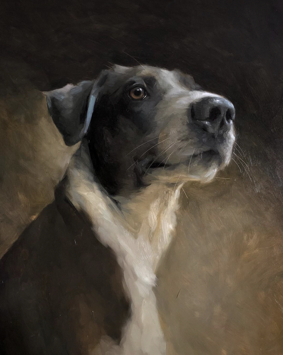 Дженнифер виртуозно пишет портреты собак