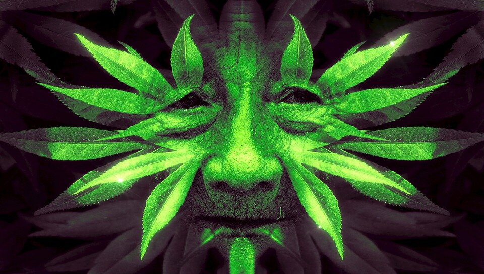 Pixabay License Бесплатно для коммерческого использования
Указание авторства не требуется