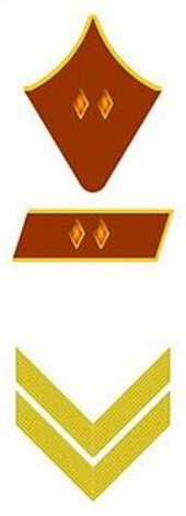 Погоны комдива