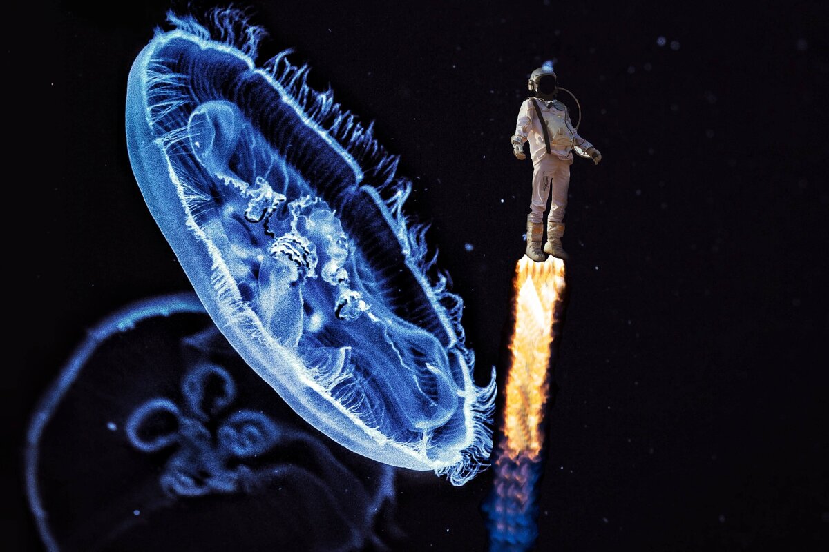 Автор:@kkasaman