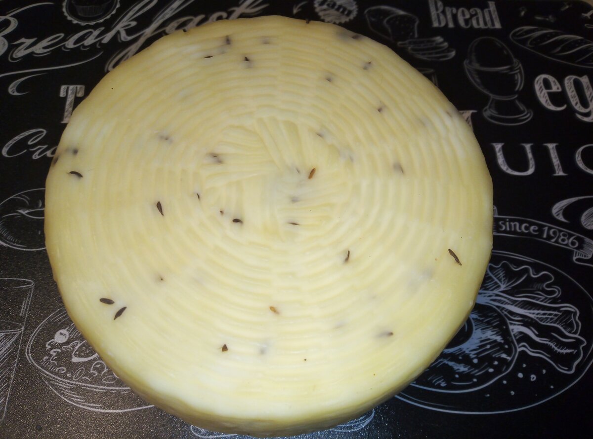 Моё фото. Качотта с тмином