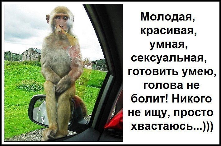 Картинка взята из сети Интернет