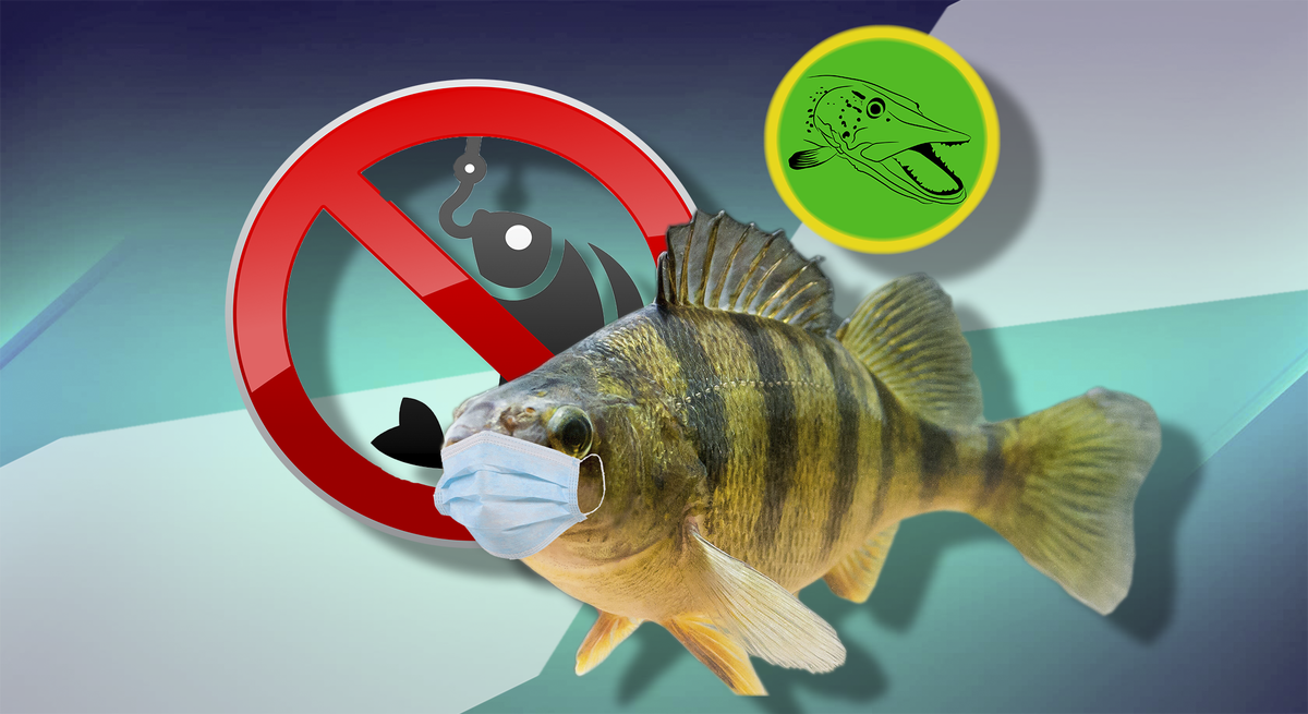 О запрете рыбалки