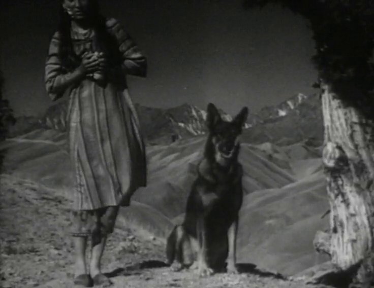 Вот он, Джульбарс, первый этого имени