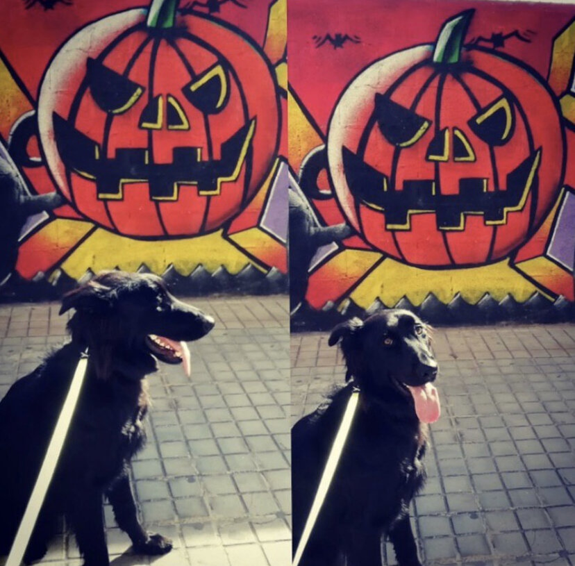 Таким мы его увидели в первый раз. 