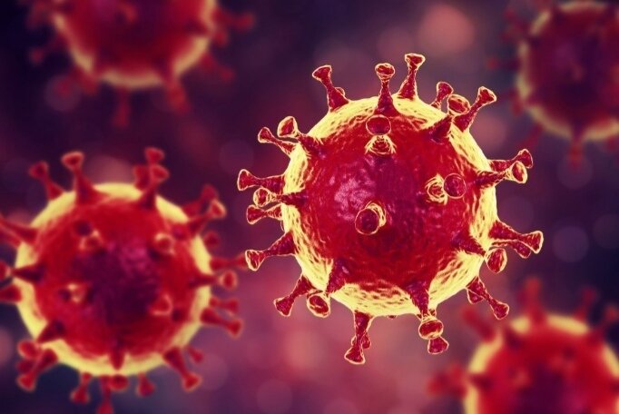 Китайские ученые подтвердили, что коронавирус SARS-CoV-2 способен передаваться от человека к человеку через аэрозоли размером примерно микрометр во внутрибольничных помещениях. Свои выводы о новом пути распространения патогена исследователи опубликовали в статье в журнале Nature.

Специалисты изучили аэродинамику вируса в различных помещениях двух больниц в городе Ухань, где началась пандемия COVID-19. Они измерили содержание РНК вируса в аэрозолях в феврале и марте 2020 года.

Концентрация РНК в изоляторах и проветриваемых помещениях была очень низкой, однако в туалетных зонах содержание вирусов оказалось повышенным. В большинстве общественных зон РНК коронавируса не обнаружилась, за исключением тех пространств, где наблюдались скопления людей. Ученые нашли высокие концентрации вирусного генетического материала в помещениях для медицинского персонала, при этом больше всего патогена содержалось в аэрозолях размером около микрометра.

Строгие процедуры санитарной обработки позволяют снизить уровень РНК вируса до необнаруживаемых значений. По словам ученых, результаты показывают, что вентиляция помещений и дезинфекция средств индивидуальной защиты и туалетных зон предотвращают распространение вируса. Однако в будущем необходимо установить способность SARS-CoV-2, находящихся в аэрозолях, к заражению.