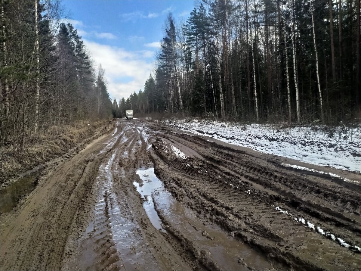 Одна из самых веселых дорог на русском северо-западе