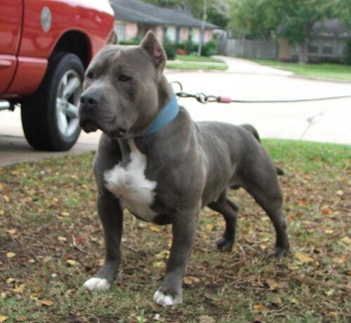 Изображение взято с сайта pinterest.ru