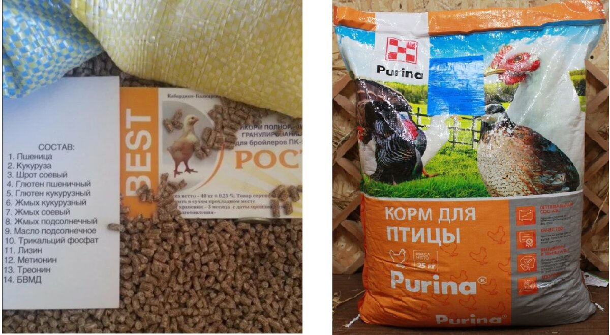 "Best" и "Purina" хорошие комбикорма для индюшат от старта до финиша