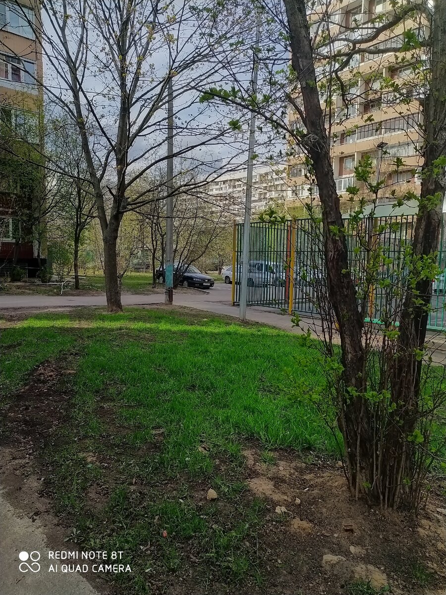 Весеннее озеленение