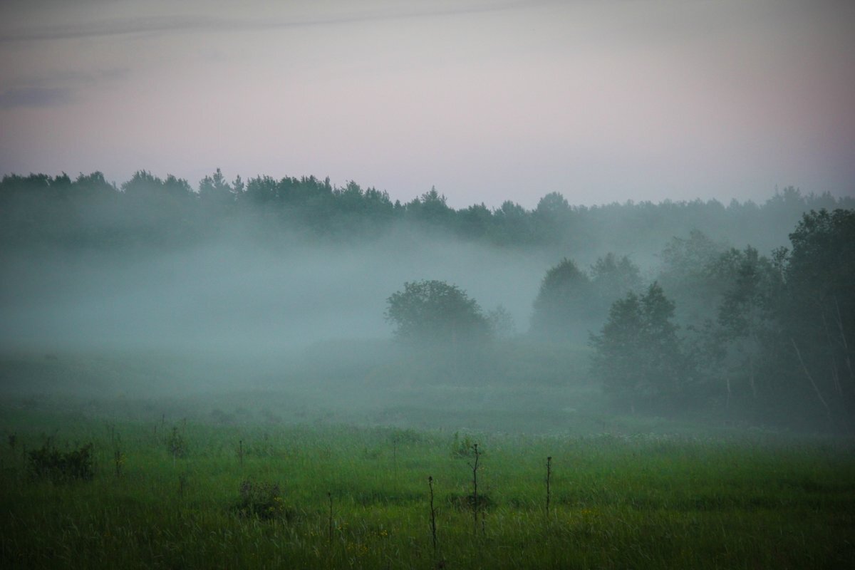 Открытка из открытых источников
