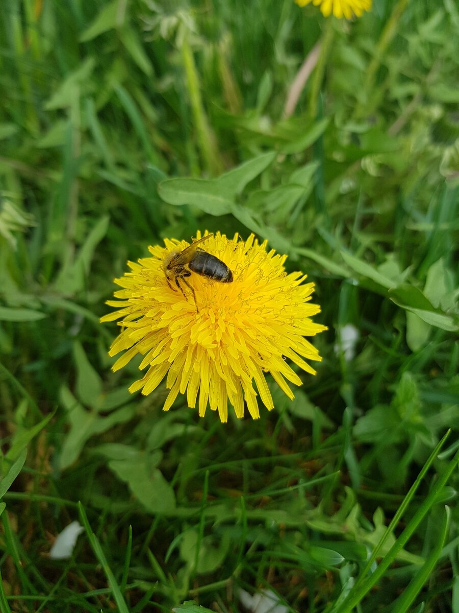 Пакетные труженицы уже освоились.