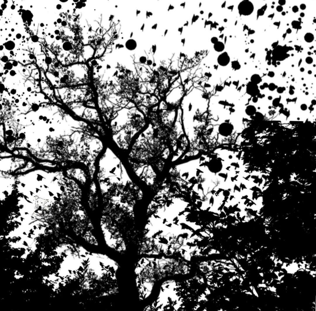 Авторский тест. Найдите щенка. 