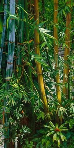 Источник:https://www.pinterest.ru/