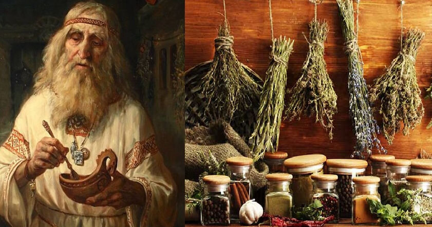 яндекс. картинки