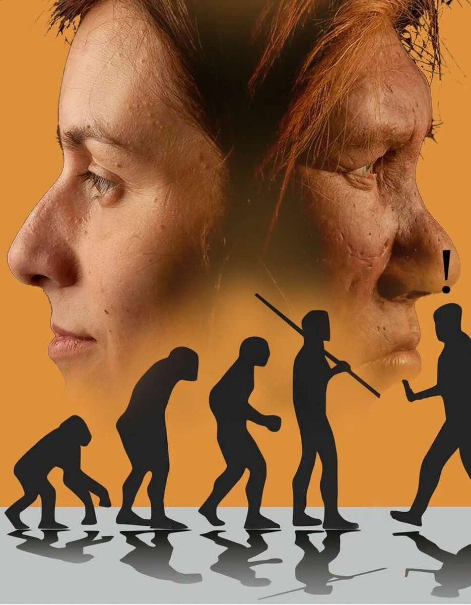 Картинка взята из Яндекса 