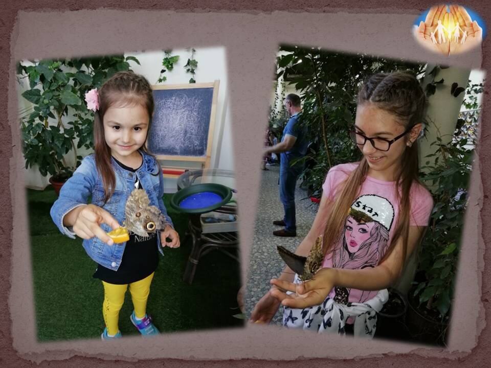 Не забудьте подписаться и оставить отклик - Вы поддержите развитие канала!Спасибо