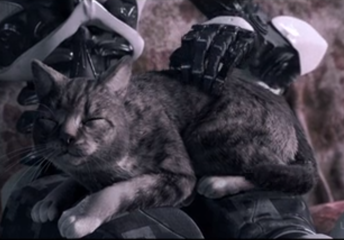 Из эпизода "Три робота" Котик сидит у робота на коленях