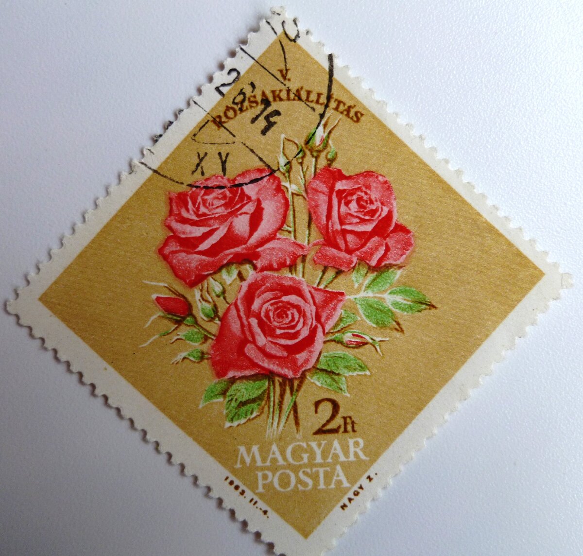 Розы (Венгрия) 1963 год. Фото из личной коллекции.